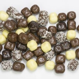 chocolade_kokos_cocos_bonito_melk_puur_wit